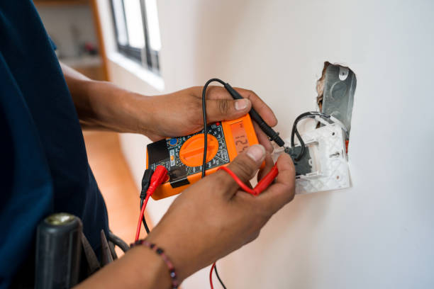 Best Electric Panel Repair  in Hayden, CO